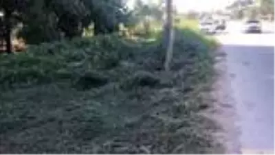 Hafif ticari araç yeni evli çifte çarptı: 1 ölü, 1 yaralı
