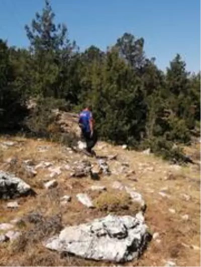 Kaybolan Alzheimer hastası yaşlı kadın aranıyor Kaybolan Alzheimer hastası yaşlı kadın aranıyor