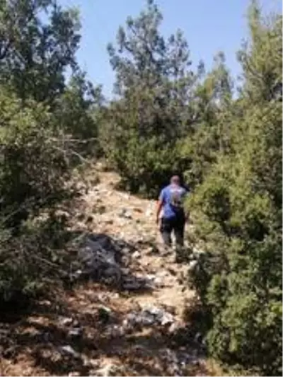 Kaybolan Alzheimer hastası yaşlı kadın aranıyor Kaybolan Alzheimer hastası yaşlı kadın aranıyor