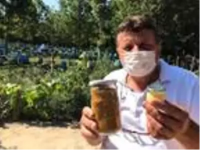 Kilosu 8 bin liradan satılan arı sütünde talep patlaması yaşanıyor Kilosu 8 bin liradan satılan arı sütünde talep patlaması yaşanıyor
