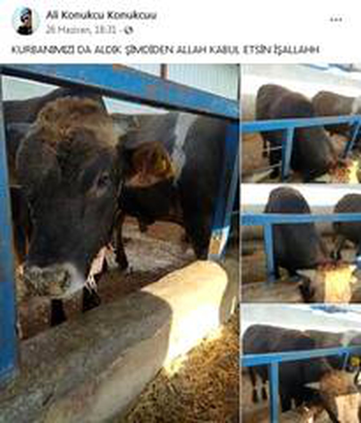 Konya'ya şehit ateşi düştü