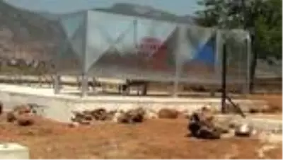 Meralar suya kavuştu hayvancının yüzü güldü - GAZİANTEP Meralar suya kavuştu hayvancının yüzü güldü - GAZİANTEP