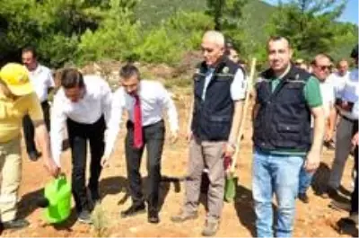 Milas Orman İşletme Müdürlüğü'nde yeni atama Milas Orman İşletme Müdürlüğü'nde yeni atama