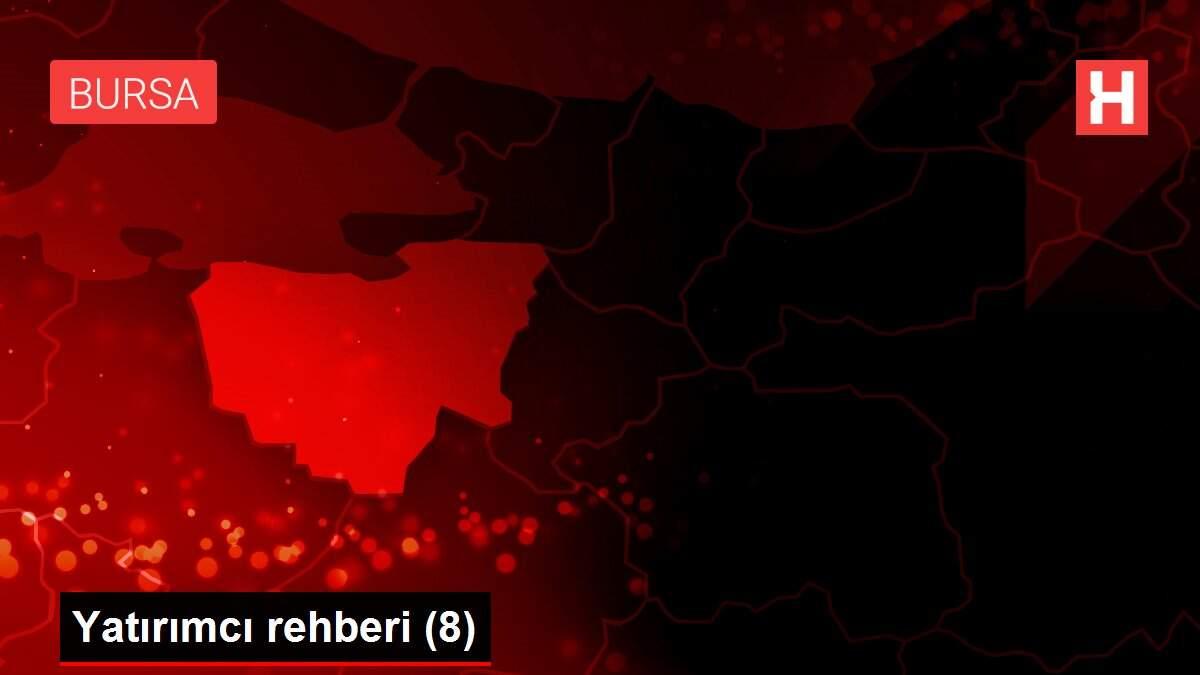 Son dakika haberleri! Yatırımcı rehberi (8) Son dakika haberleri! Yatırımcı rehberi (8)