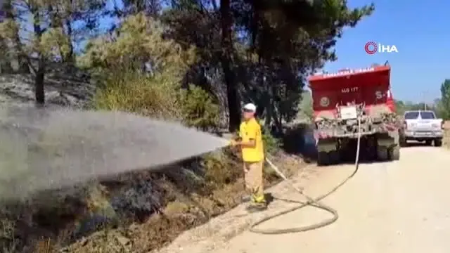 Çanakkale�de 5 ayrı noktada çıkan orman yangını kontrol altına alındı
