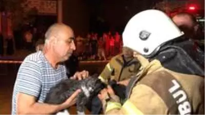 Ataşehir'de işçilerin kaldığı konteynerde korkutan yangın Ataşehir'de işçilerin kaldığı konteynerde korkutan yangın