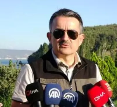 Bakan Pakdemirli: Bakan Pakdemirli: