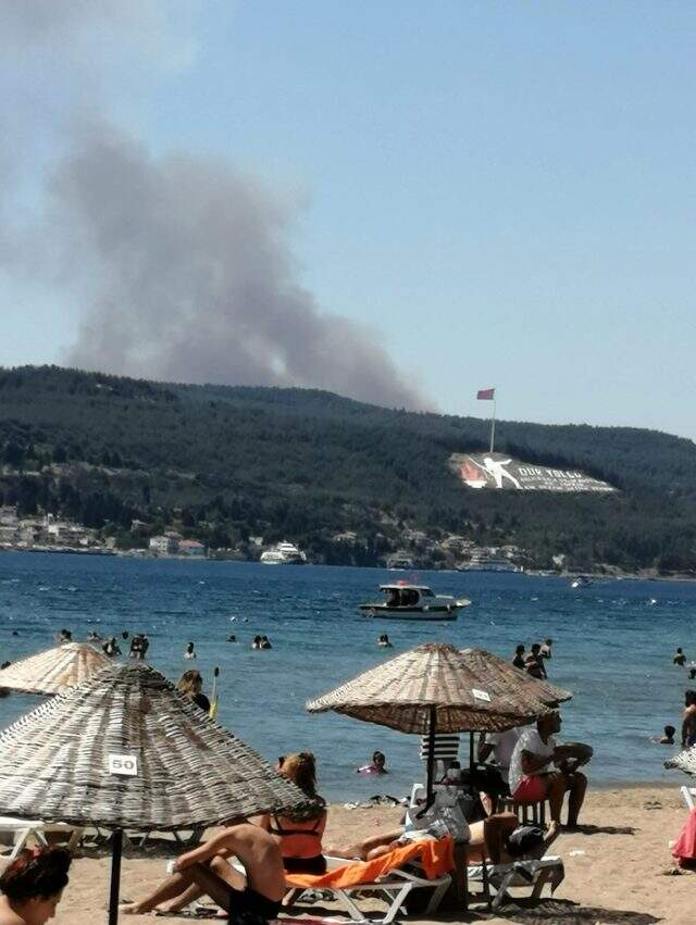 Çanakkale'de 5 ayrı noktada orman yangını! Boğaz çift yönlü trafiğe kapatıldı