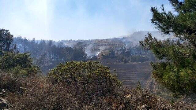 Çanakkale'de 5 ayrı noktada orman yangını! Boğaz çift yönlü trafiğe kapatıldı
