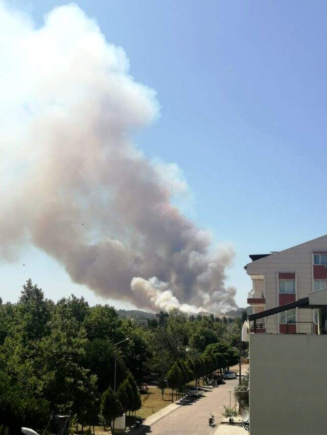 Çanakkale'de 5 ayrı noktada orman yangını! Boğaz çift yönlü trafiğe kapatıldı