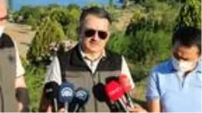 Çanakkale Ecebat'ta korkutan orman yangını (3) Çanakkale Ecebat'ta korkutan orman yangını (3)