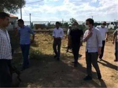 'Çiftçilerimizin zararı karşılanacak' 'Çiftçilerimizin zararı karşılanacak'