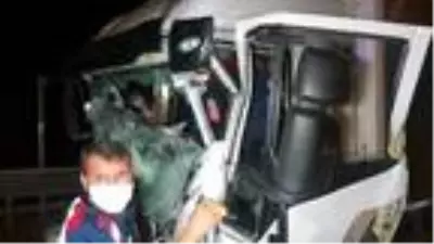 Düzce'de TIR'lar çarpıştı: 1 yaralı Düzce'de TIR'lar çarpıştı: 1 yaralı