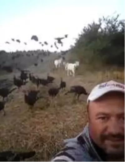 Hindiler, sahibinin komutuyla uçuyor Hindiler, sahibinin komutuyla uçuyor