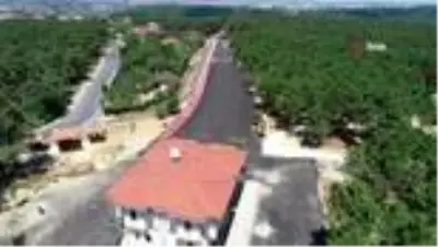 İstanbul'un En Güzel Şehir Ormanı açıldı İstanbul'un En Güzel Şehir Ormanı açıldı