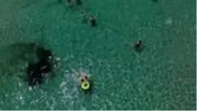 Son dakika! Maviyle yeşilin buluştuğu Türkiye'nin cennet koyları Son dakika! Maviyle yeşilin buluştuğu Türkiye'nin cennet koyları