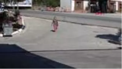 Yolda yürürken 6 köpeğin saldırısına uğrayan kadın o anları anlattı Yolda yürürken 6 köpeğin saldırısına uğrayan kadın o anları anlattı