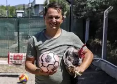 (Özel haber) Maradona, Taffarel ve Şampiyon isimli horozların futbol sevdası (Özel haber) Maradona, Taffarel ve Şampiyon isimli horozların futbol sevdası