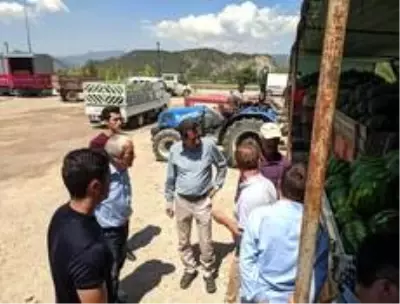 Paketleme ve ambalaj tesisinde 20 kadına iş imkânı sağlanacak Paketleme ve ambalaj tesisinde 20 kadına iş imkânı sağlanacak