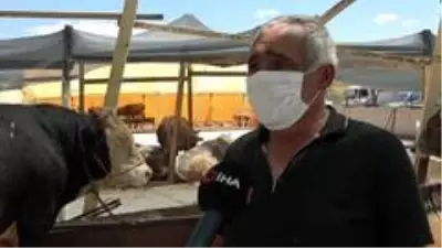 Pandemi kurban satışlarını olumsuz etkiledi: Satıcı çok, alıcı yok Pandemi kurban satışlarını olumsuz etkiledi: Satıcı çok, alıcı yok