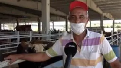 Pandemi kurban satışlarını olumsuz etkiledi: Satıcı çok, alıcı yok Pandemi kurban satışlarını olumsuz etkiledi: Satıcı çok, alıcı yok