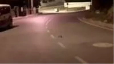 Silahlı kavga: 1 yaralı Silahlı kavga: 1 yaralı