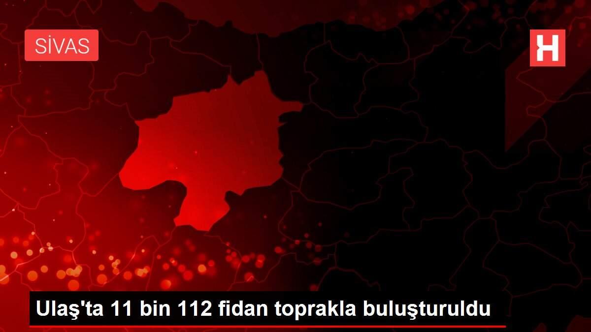 Ulaş'ta 11 bin 112 fidan toprakla buluşturuldu Ulaş'ta 11 bin 112 fidan toprakla buluşturuldu