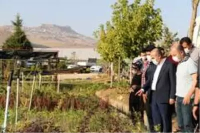 Vali Demirtaş, sahada incelemelerini sürdürüyor Vali Demirtaş, sahada incelemelerini sürdürüyor