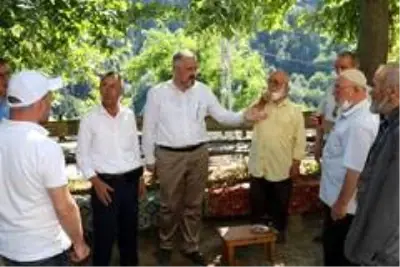 Başkan Kılıç Bafra'yı karış karış dolaşıyor Başkan Kılıç Bafra'yı karış karış dolaşıyor