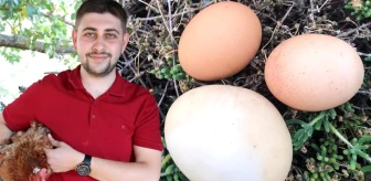 İriliğiyle dikkati çeken yumurtanın içinden bir yumurta daha çıktı