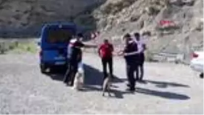 Sıcaktan etkilenen hayvanlara su ve yiyecek taşıdılar Sıcaktan etkilenen hayvanlara su ve yiyecek taşıdılar