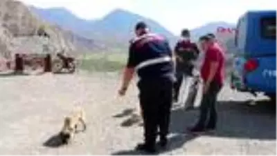 Sıcaktan etkilenen hayvanlara su ve yiyecek taşıdılar