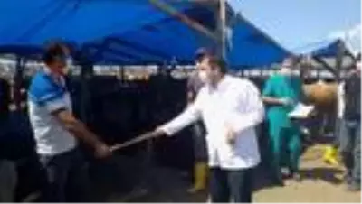 Tarım ve Orman Müdürlüğü ekipleri, Hekimbaşı kurban pazarında denetim yaptı Tarım ve Orman Müdürlüğü ekipleri, Hekimbaşı kurban pazarında denetim yaptı
