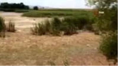 Yanlış sulama akarsuyu kuruttu Yanlış sulama akarsuyu kuruttu