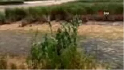 Yanlış sulama akarsuyu kuruttu Yanlış sulama akarsuyu kuruttu