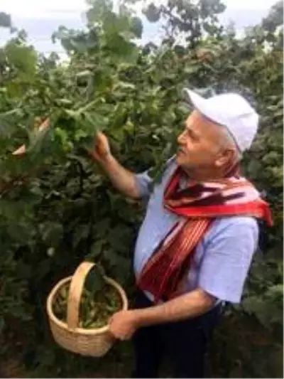 AK Parti Giresun İl Başkanı Kenan Tatlı: AK Parti Giresun İl Başkanı Kenan Tatlı: