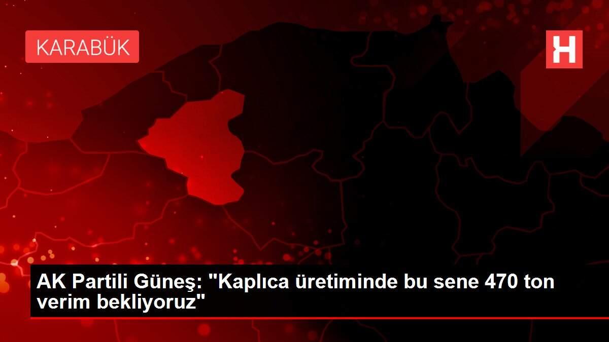 AK Partili Güneş: AK Partili Güneş:
