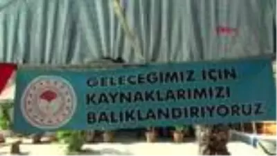ANTALYA Yavru balıklar Akdeniz'le buluştu ANTALYA Yavru balıklar Akdeniz'le buluştu