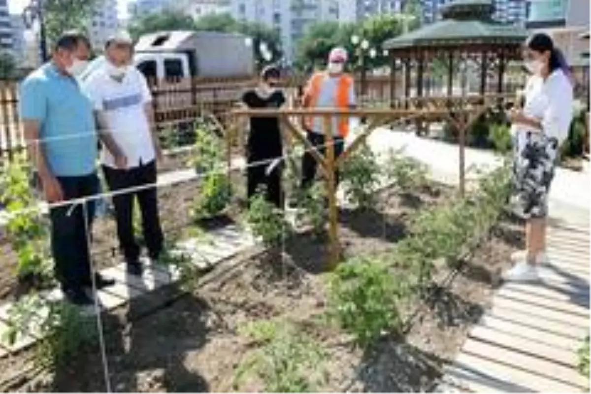 AtaTohum Merkezi Karadeniz'e örnek oldu