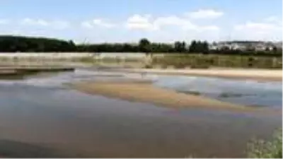 Bulgaristan'da Meriç Nehri'nden su içen ineklerin telef olduğu iddiası üzerine Türkiye harekete geçti Bulgaristan'da Meriç Nehri'nden su içen ineklerin telef olduğu iddiası üzerine Türkiye harekete geçti