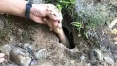 Çin'de yeraltı mağarasında mahsur kalan çocuk, küçük delikten uzattığı eli sayesinde kurtarıldı Çin'de yeraltı mağarasında mahsur kalan çocuk, küçük delikten uzattığı eli sayesinde kurtarıldı