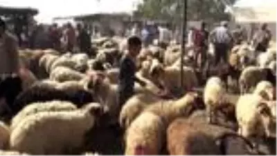 Irak'ta kurban pazarları Kovid-19 salgını nedeniyle durgun Irak'ta kurban pazarları Kovid-19 salgını nedeniyle durgun