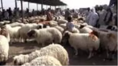 Irak'ta kurban pazarları Kovid-19 salgını nedeniyle durgun Irak'ta kurban pazarları Kovid-19 salgını nedeniyle durgun