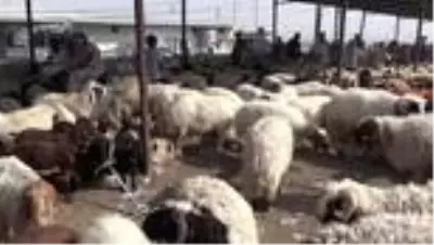 Irak'ta kurban pazarları Kovid-19 salgını nedeniyle durgun Irak'ta kurban pazarları Kovid-19 salgını nedeniyle durgun