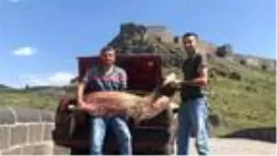 Karslı iki kardeş 2 metrelik yayın balığı yakaladı Karslı iki kardeş 2 metrelik yayın balığı yakaladı