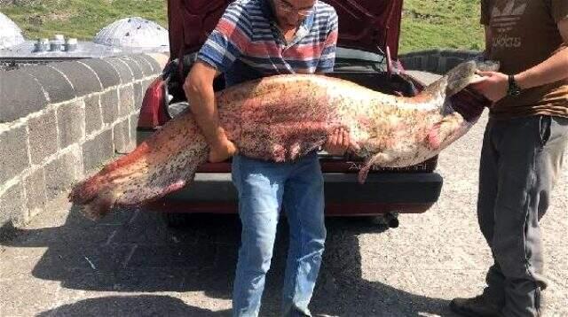 Karslı iki kardeş 2 metrelik yayın balığı yakaladı Karslı iki kardeş 2 metrelik yayın balığı yakaladı