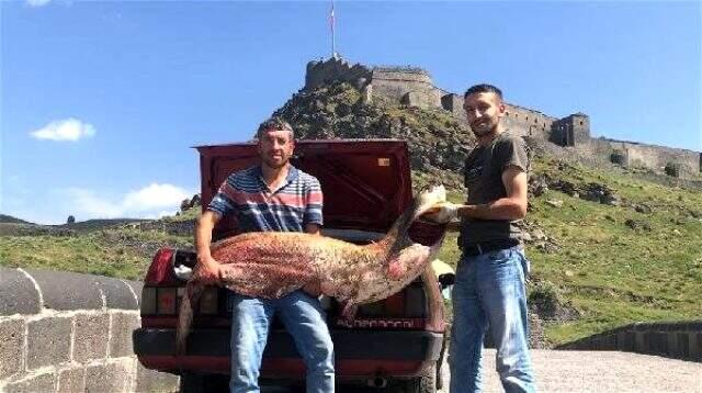 Karslı iki kardeş 2 metrelik yayın balığı yakaladı Karslı iki kardeş 2 metrelik yayın balığı yakaladı