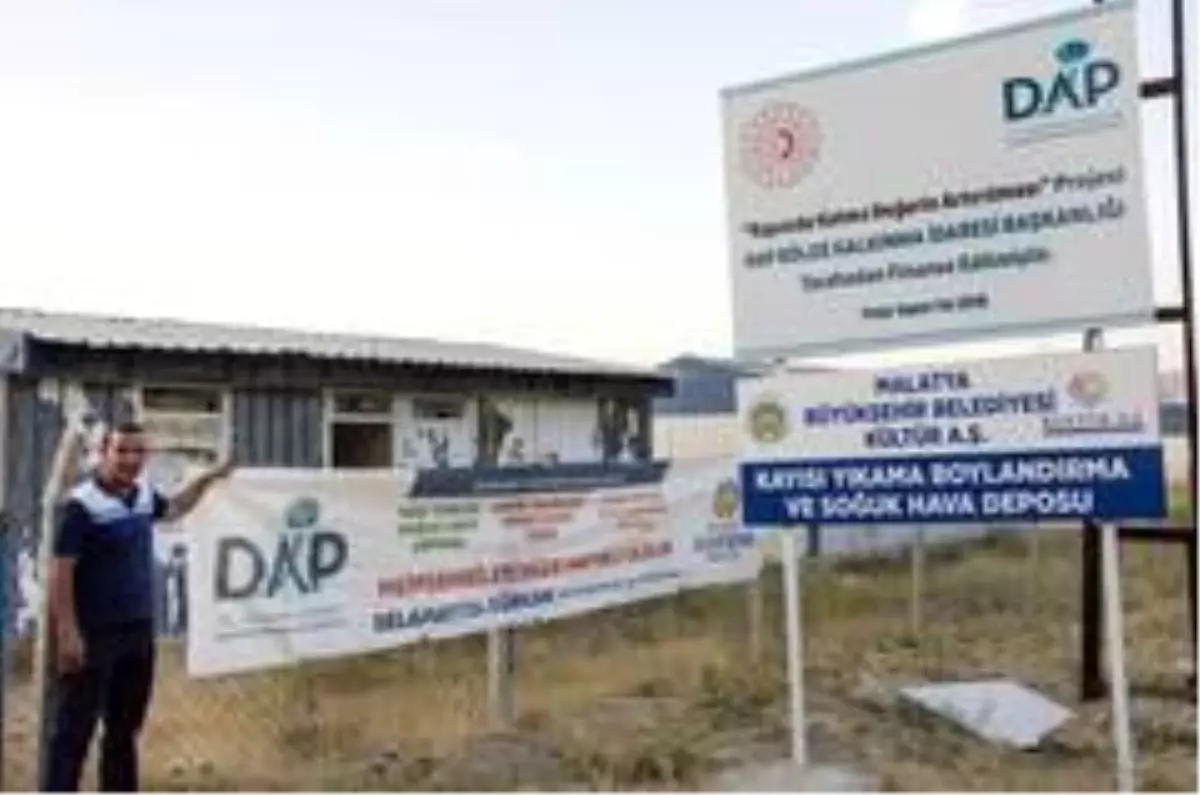 Kayısının katma değeri artacak