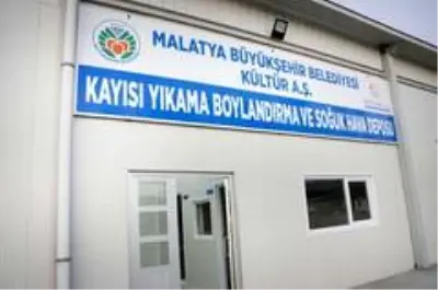 Kayısının katma değeri artacak Kayısının katma değeri artacak
