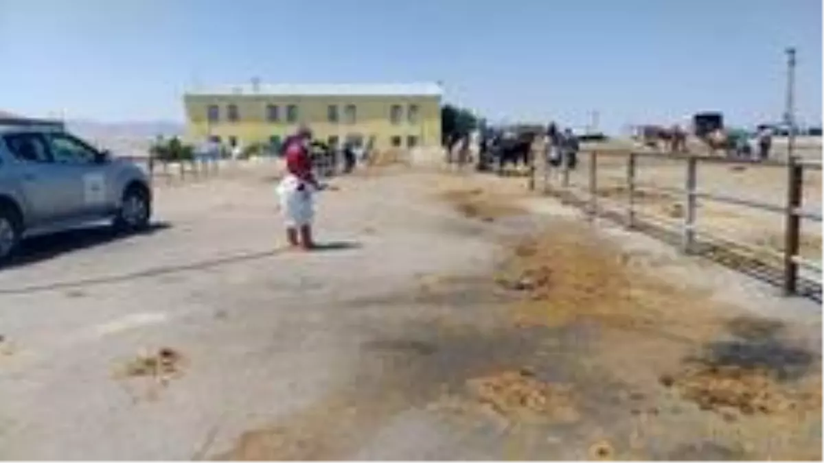 Kırşehir Belediyesi, Kurban Bayramı öncesi denetimleri arttırdı